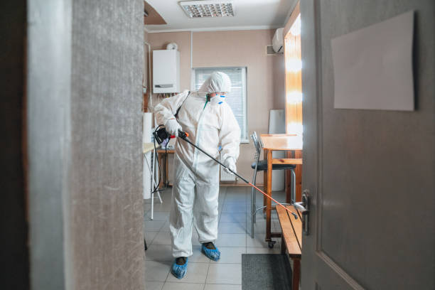 Best Commercial Mold Inspection  in Roseto, PA