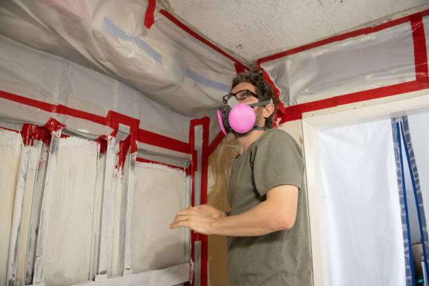 Best Post-Construction Mold Inspection  in Roseto, PA