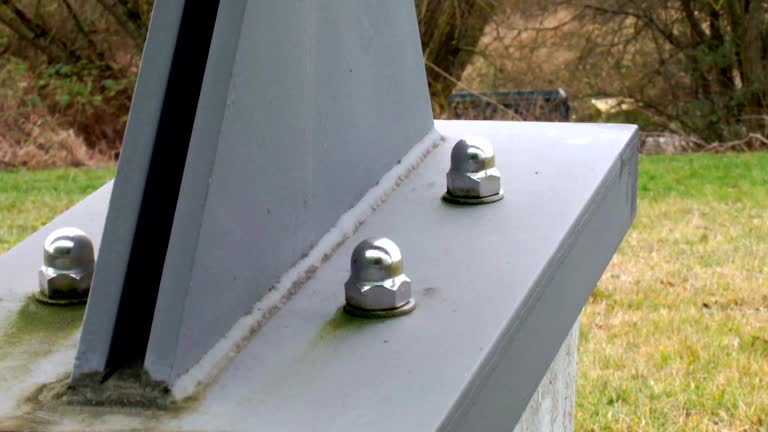 Best Asbestos and Lead Testing During Mold Inspection  in Roseto, PA